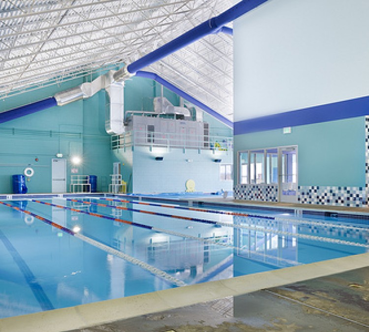 blue-dolphin-swim-school-photo
